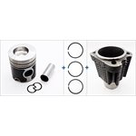 Piston / Liner Kit - F 913 [102.0 mm]