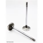 Intake Valve [30°] BF 2012 / C