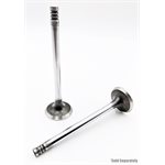 Exhaust Valve [45°] BF / TD 2012 / C / VOLVO